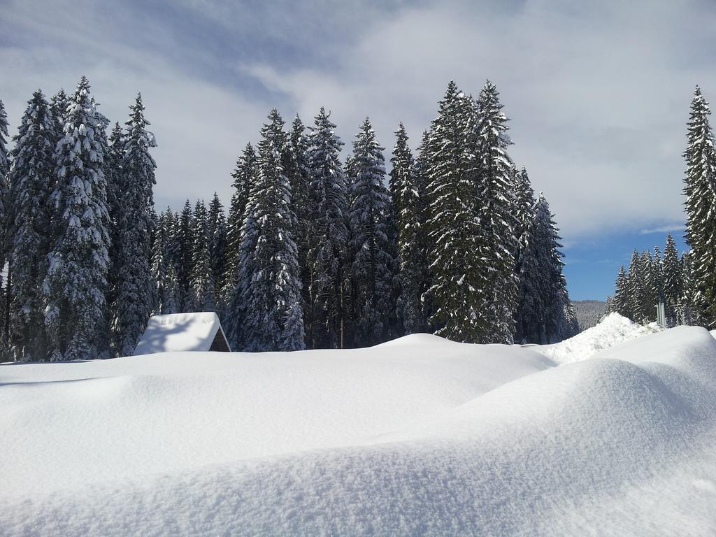Hotel Jelka Pokljuka Goreljek Esterno foto