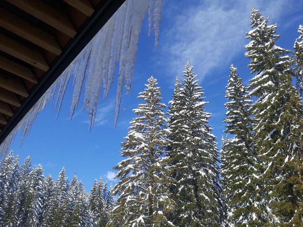 Hotel Jelka Pokljuka Goreljek Esterno foto