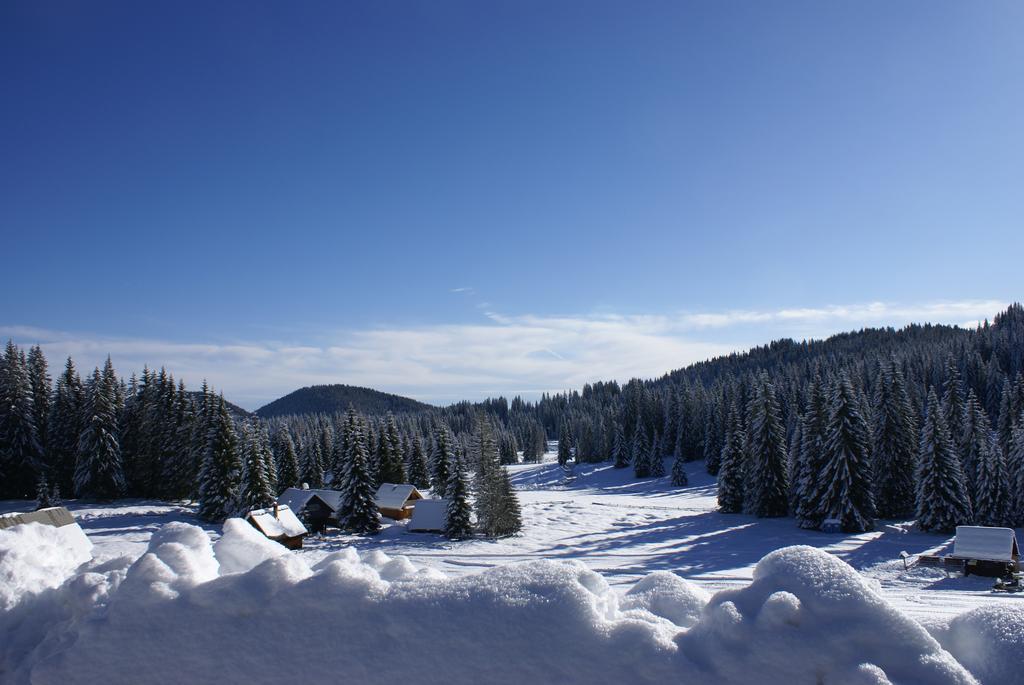 Hotel Jelka Pokljuka Goreljek Esterno foto
